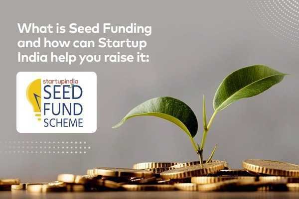 Seed Fund Graphic