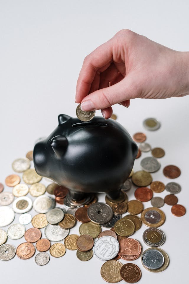 Piggy bank savings